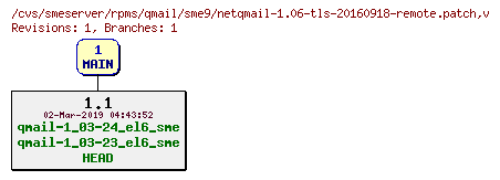 Revisions of rpms/qmail/sme9/netqmail-1.06-tls-20160918-remote.patch