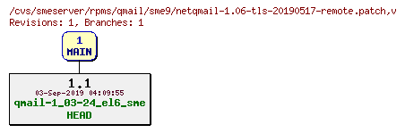 Revisions of rpms/qmail/sme9/netqmail-1.06-tls-20190517-remote.patch