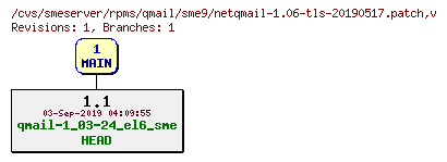 Revisions of rpms/qmail/sme9/netqmail-1.06-tls-20190517.patch